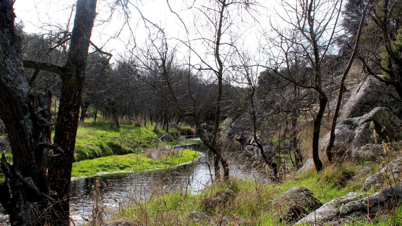 Rio Perales